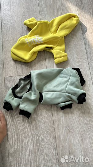 Товары для собаки