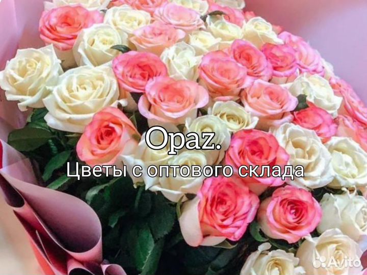 Букет из 51 розы