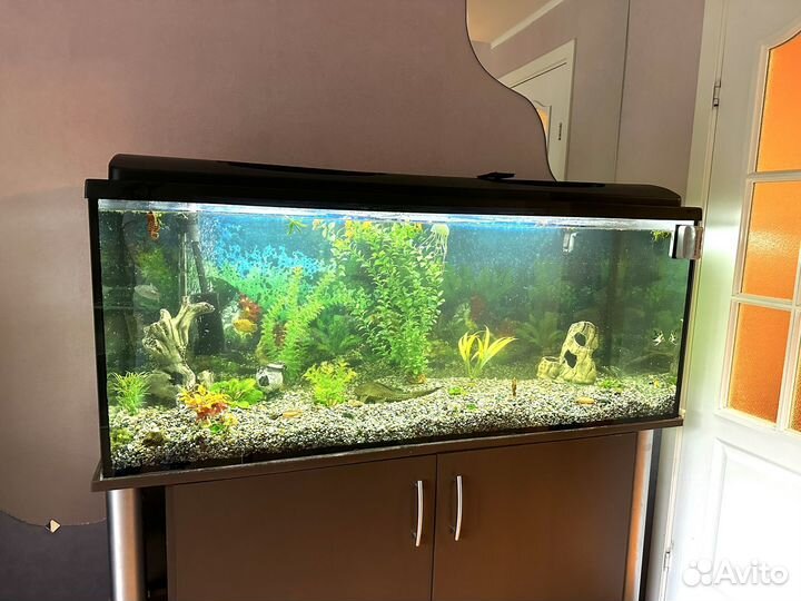 Аквариум с тумбой 500 литров