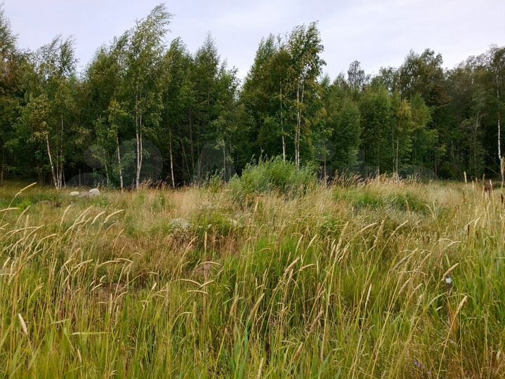 Участок 18,7 сот. (СНТ, ДНП)