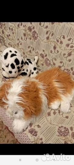 Волк, заяц и другие мягкие игрушки