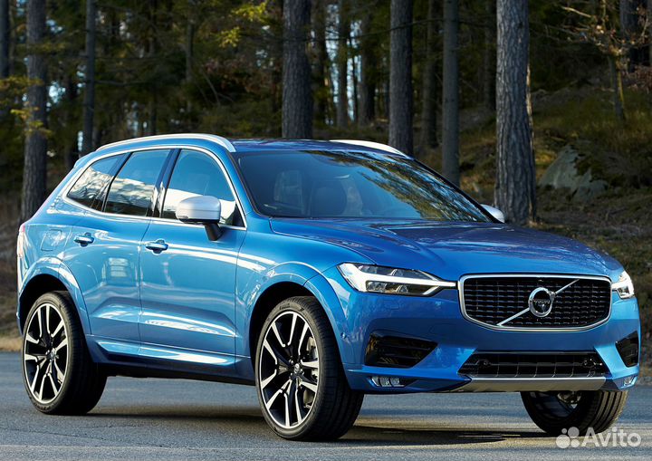 Полиуретановая пленка для багажника Volvo