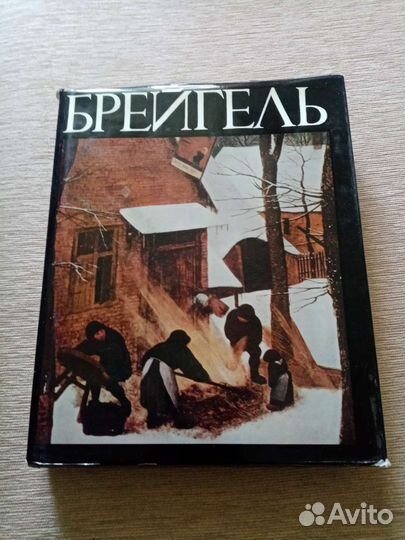 Книга Брейгель