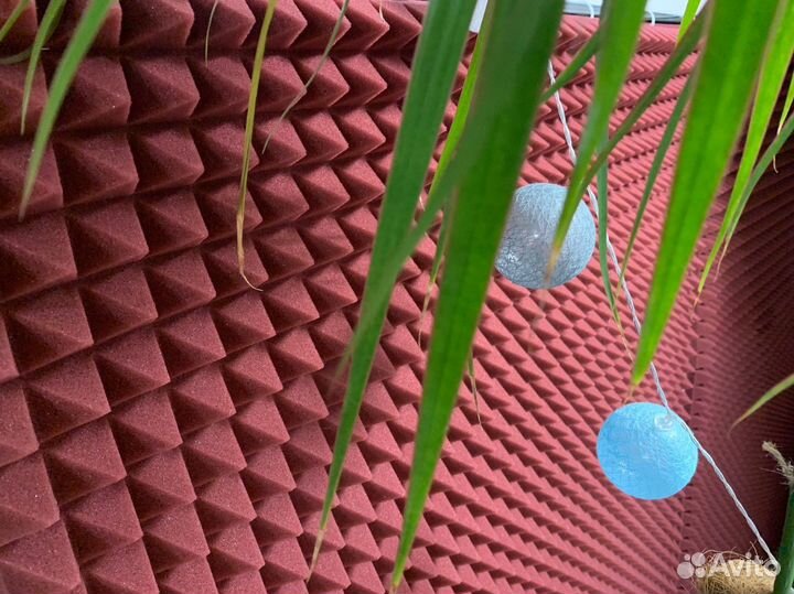 Акустический поролон