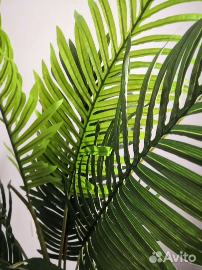 Пальма, банановое дерево, стрелиция искусственные