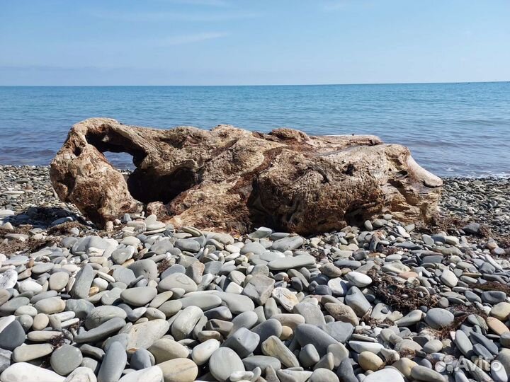 Крупный дрифтвуд. Брёвна, коряги, пни. Под заказ