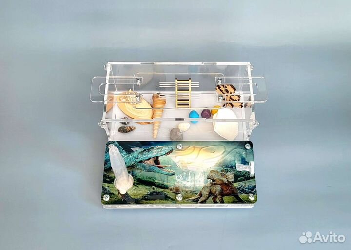 Муравьиная ферма