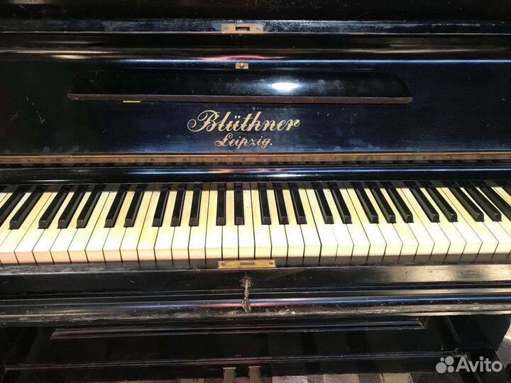 Пианино bluthner