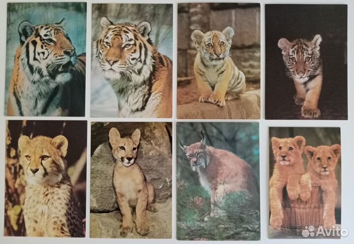 Открытки СССР. Оригиналы. Чистые. Люкс