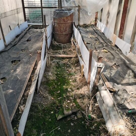 Дача 54 м² на участке 6 сот.