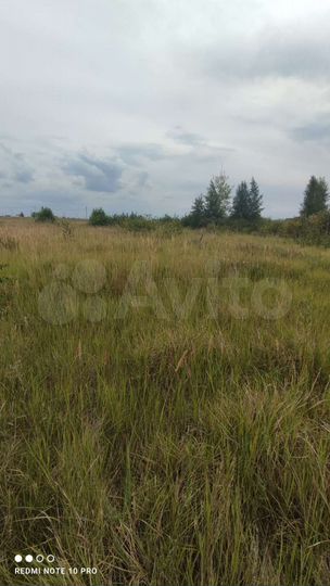 Участок 10 сот. (ИЖС)