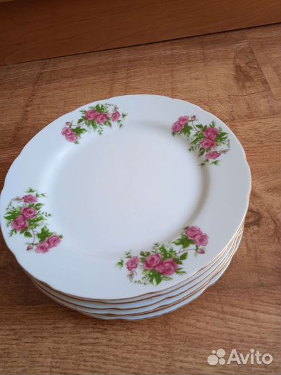 Тарелки СССР, Япония, Д-20,5