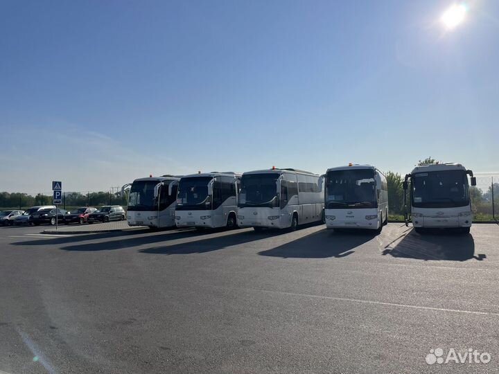 Водитель автобуса категории д