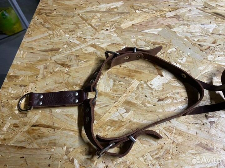 Шлея для собак