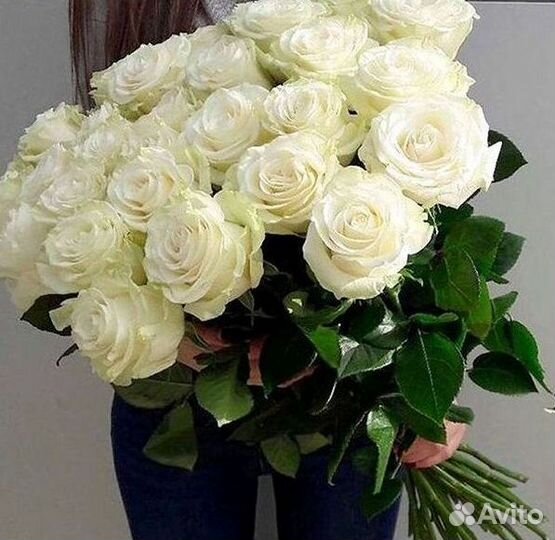 Розы Цветы Букеты 25 151 201 101 301 501 опт