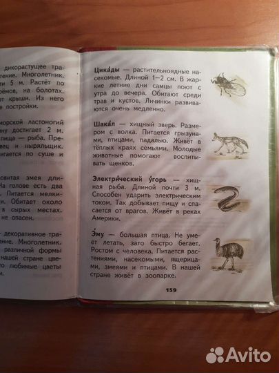 Хрестоматия 2 класс окружающий мир