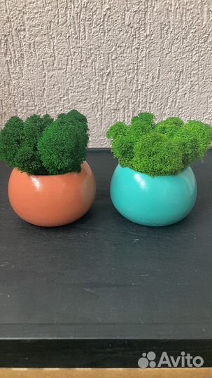 Кашпо со мхом