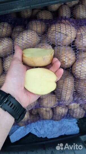 Картофель свежий доставка