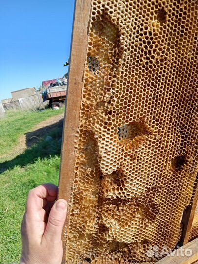 Улей для пчел бу