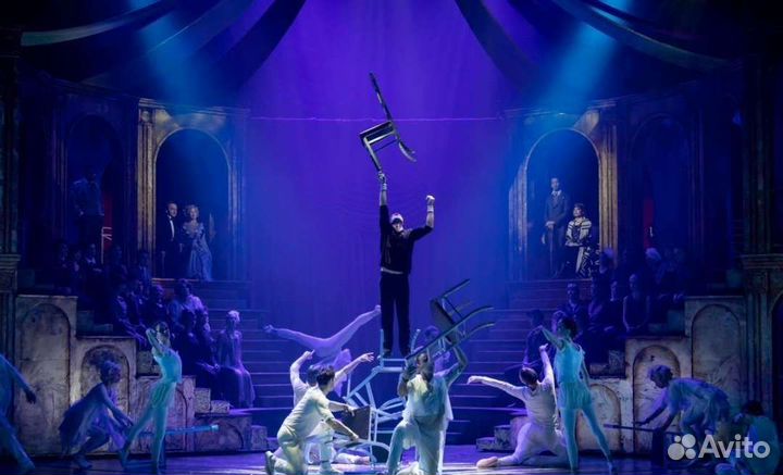 Билеты на мюзикл принцесса цирка