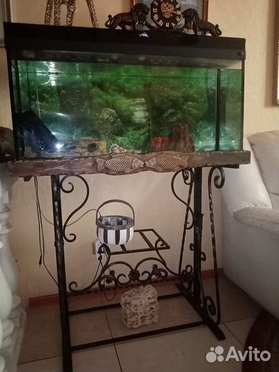Аквариум