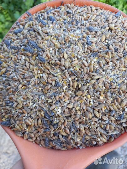 Кормосмесь универсальная для кур