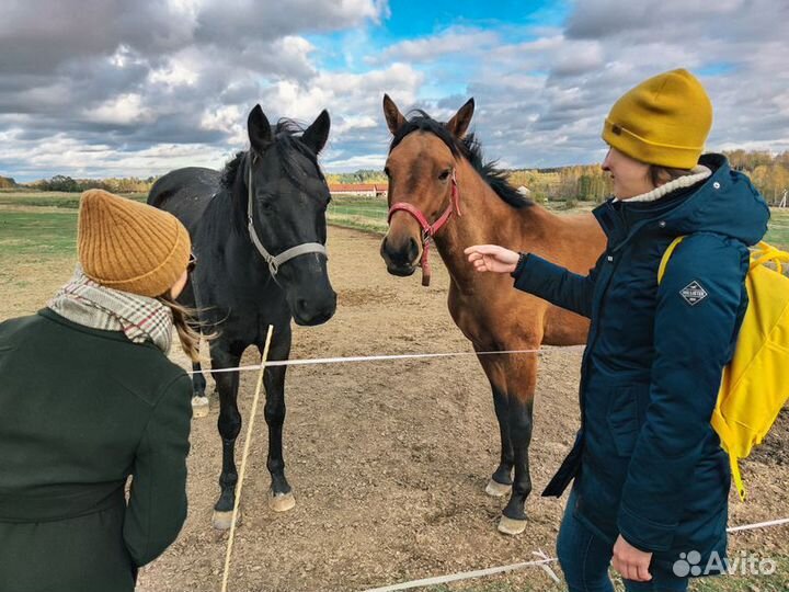 Экскурсия — Санкт-Петербург — Просторы Колтушских