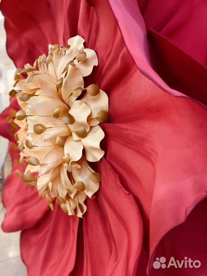 Аренда фотозоны «Анемон»