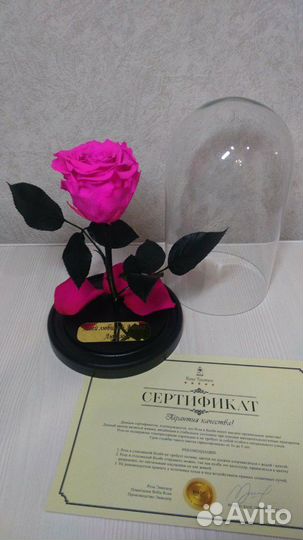 Стабилизированные розы