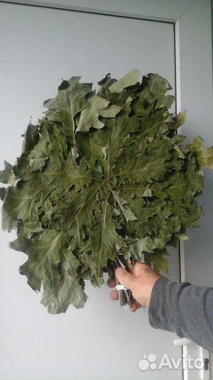 Веники для бани