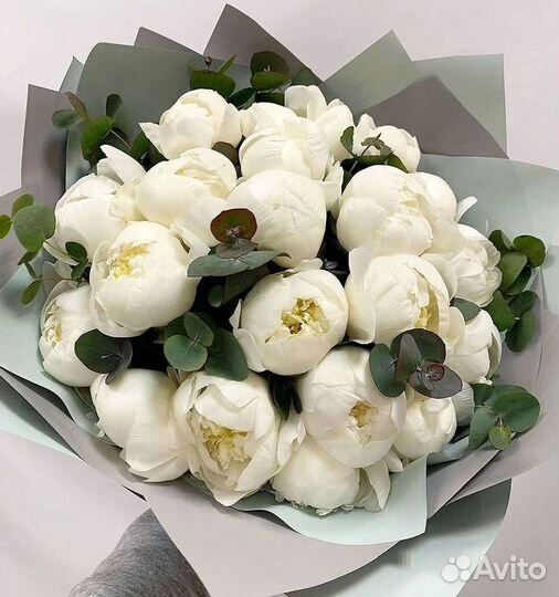 Пионы Цветы Доставка
