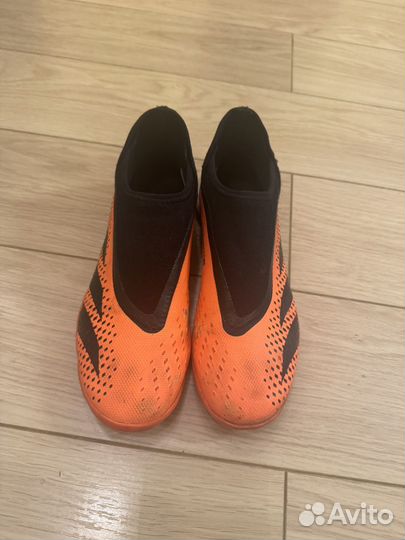 Сороконожки adidas predator