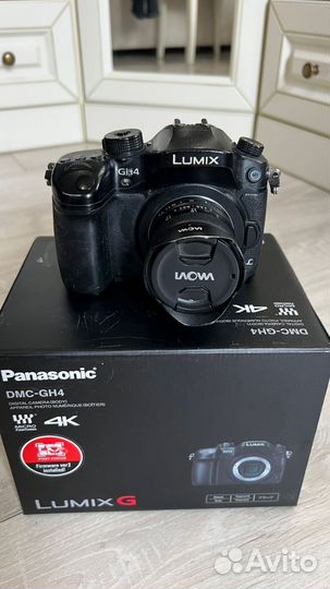 Panasonic gh4