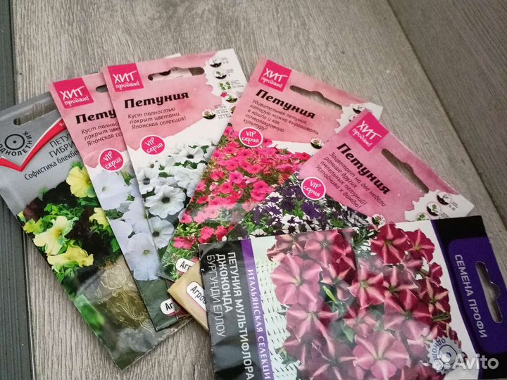 Семена коллекционных петуний и бархатцев