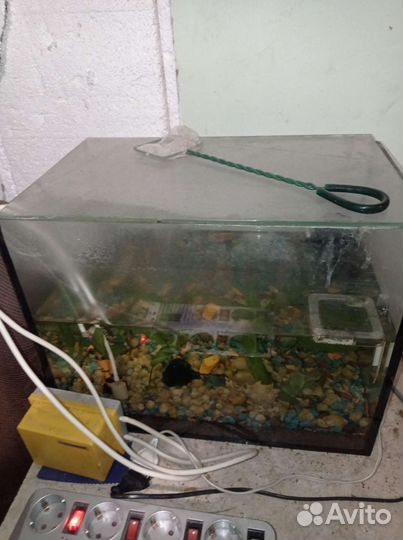 Аквариум