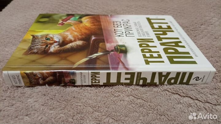 Терри Пратчетт Кот без прикрас