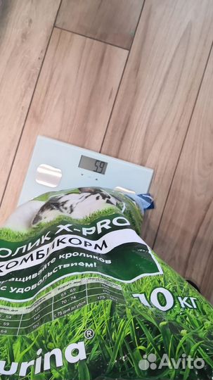 Purina X-pro комбикорм для клоликов и мор. свинок