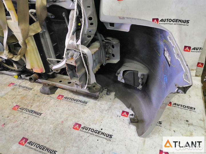 Nose cut toyota belta