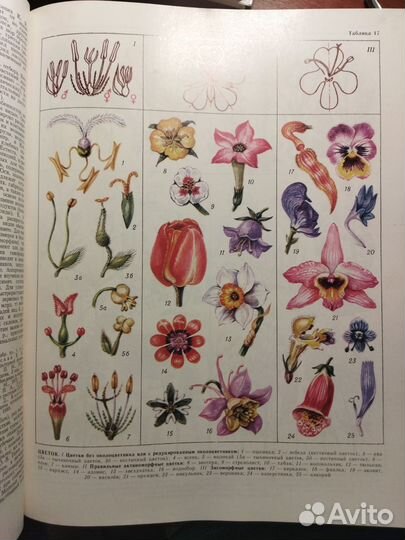 Медицинская литература(раритет)