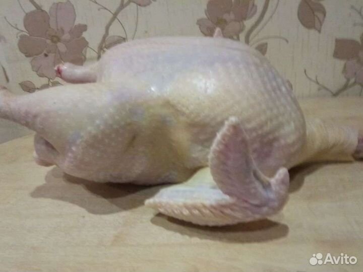 Мясо домашней индейки