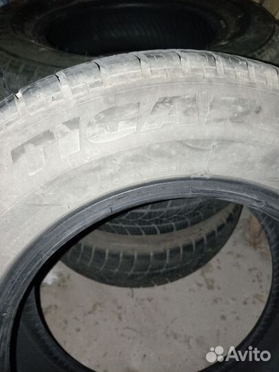 Tigar Winter 175/70 R13