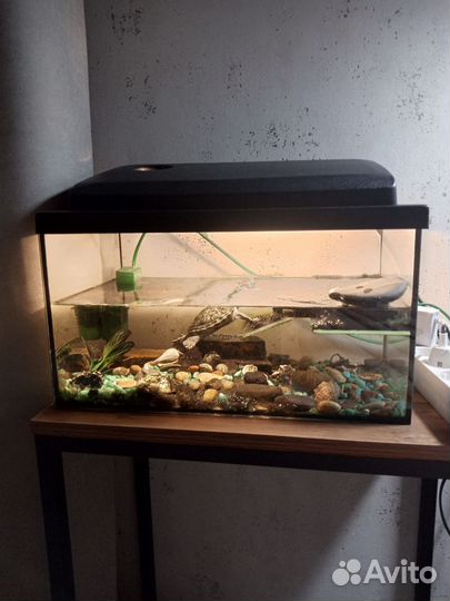 Аквариум для черепах 20 литров