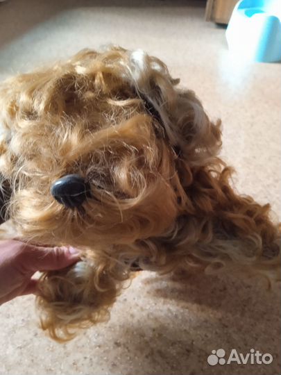 Игрушка собака СССР