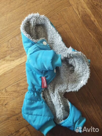 Одежда для маленьких собак S