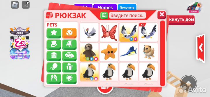 Петы в адопт ми, adopt me, питомцы в адопте