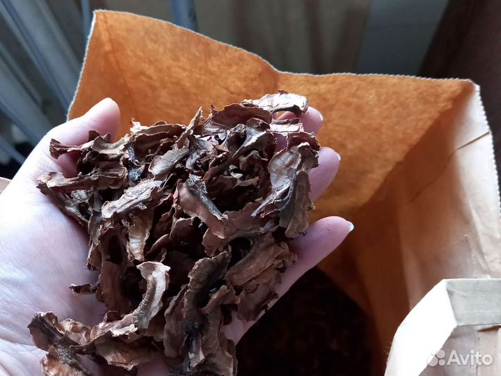 Перепонки грецкого ореха