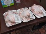 Выращивание натурального мяса птицы за 32 дня