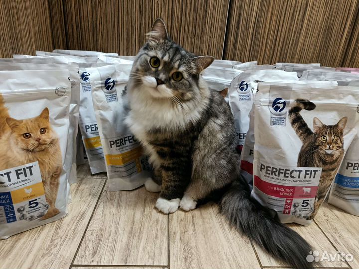 Сухой корм для кошек