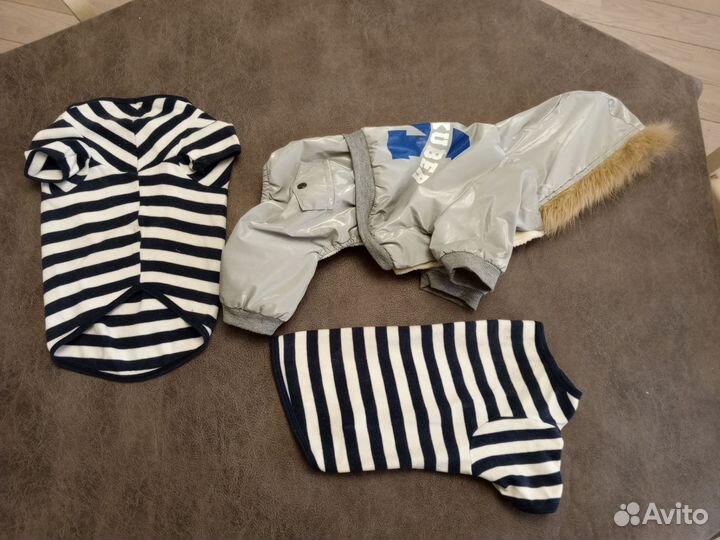 Одежда для собак мелких пород