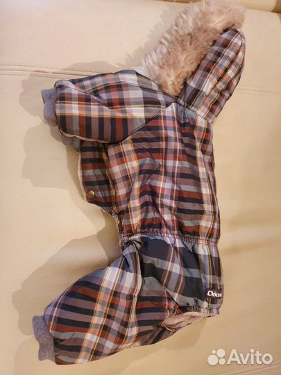 Одежда для собак